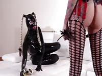 Ein Haufen Peitschen und Latex