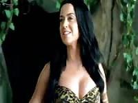 Katy Perry, Best music video ever!