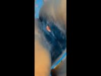 Ma chate et bien ouverte pour toi regarde â¤ï¸ ?