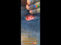 Ma chate et trÃ¨s gourmandes regarde â¤ï¸?